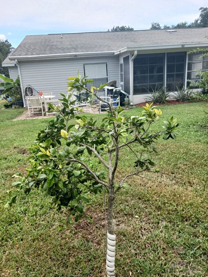 5030 El Destino Dr #NA