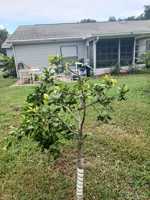 featured image of 5030 El Destino Dr #NA