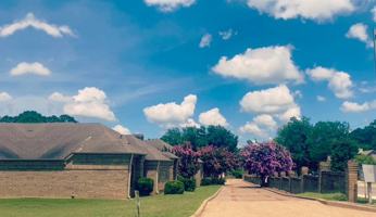 featured image of 206 Cambridge Rd