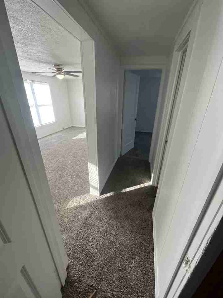 513 S 1st St - Photo 6 of 13