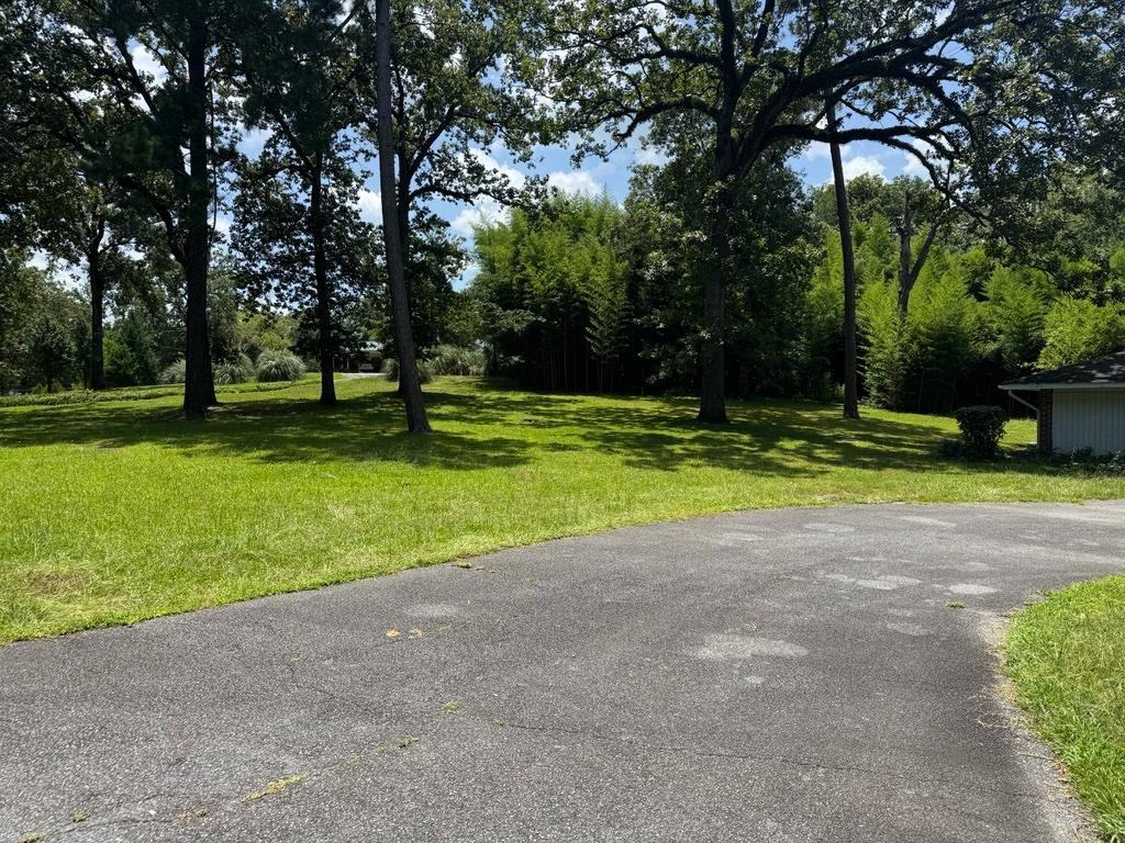 Wesley House (121 Woodland Cir) - Photo 3 of 10