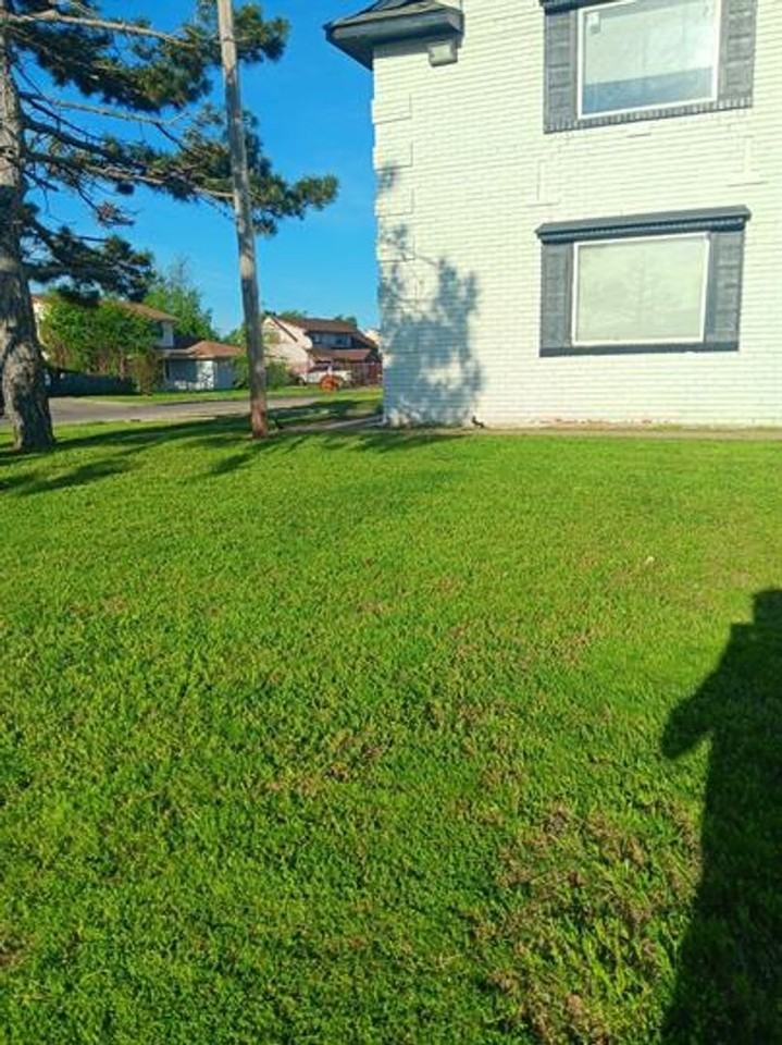 6111 Klein Apartments 1-28 - Photo 7 of 19