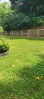 featured image of 2118 Cope Creek Rd