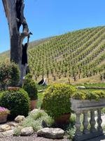 featured image of 3130 Oakdale Rd