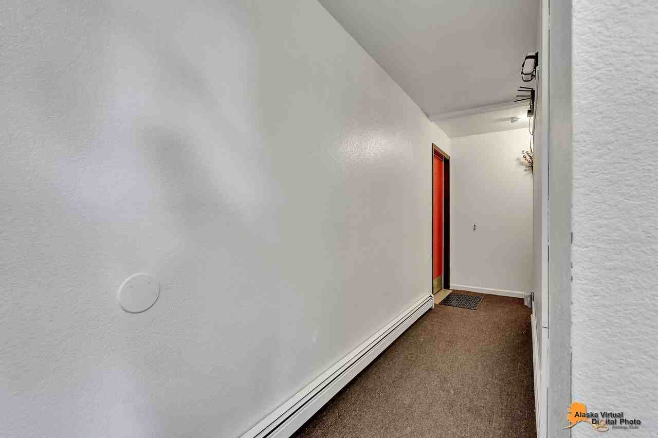1102 Broaddus St - Photo 3 of 28