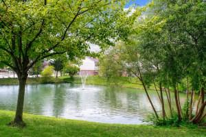 Mad River Apartments - Photo 3 of 20