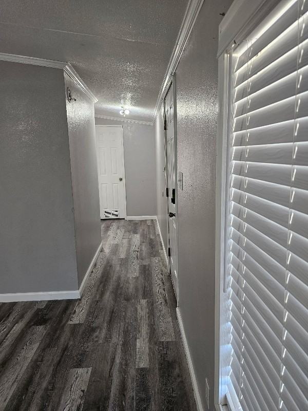 31 Cinnamon Ln - Photo 2 of 13