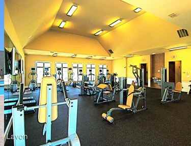 Vermir Holdings, LLC - Photo 3 of 15