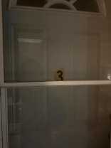 635 N Elmwood Dr #3 - Photo 1 of 1