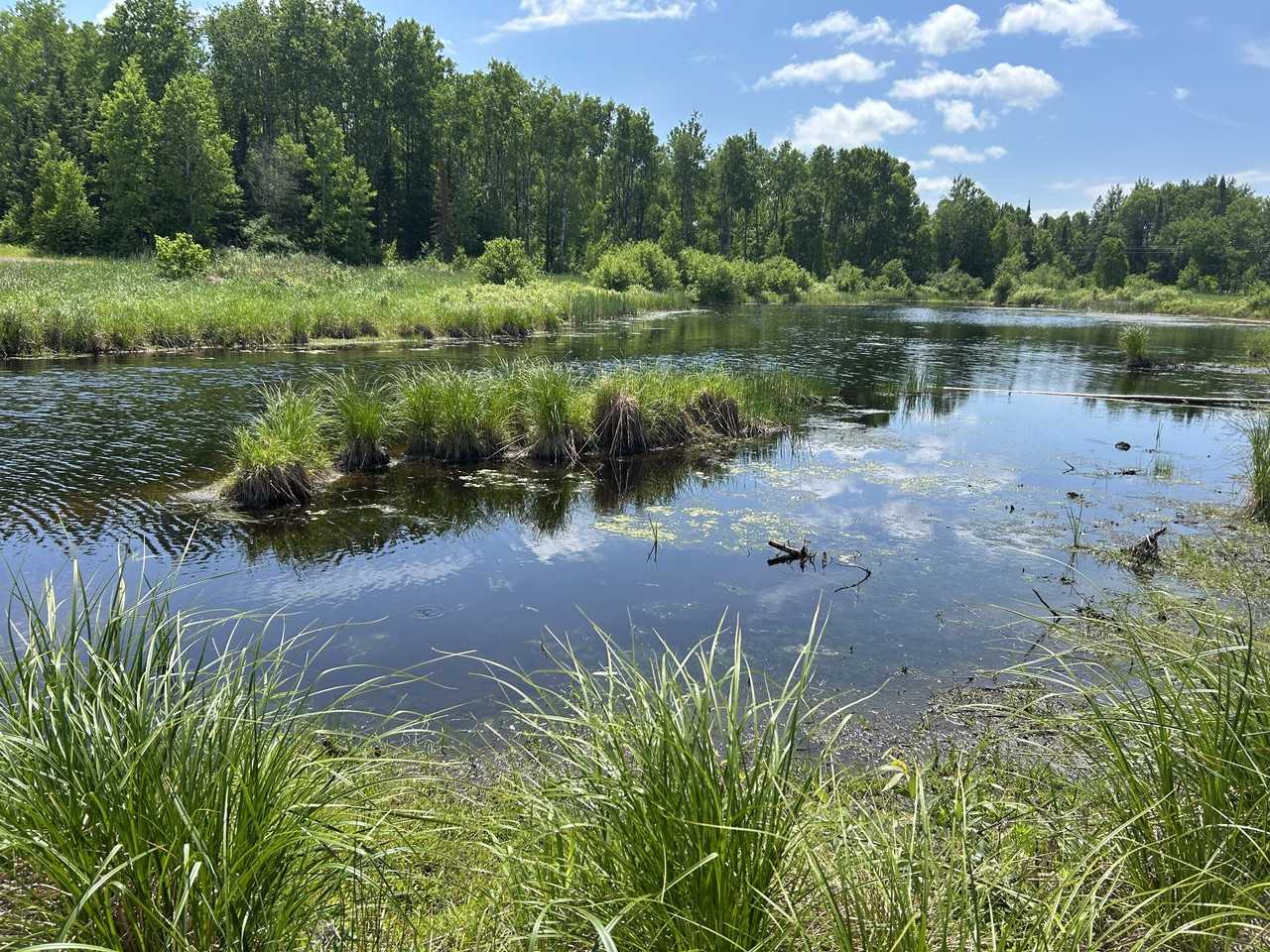 8552 State St - Photo 2 of 30