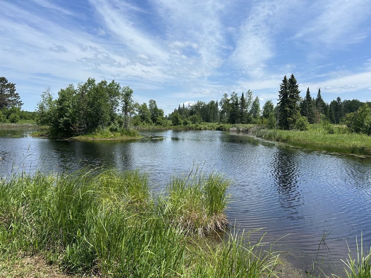 8552 State St - Photo 3 of 30