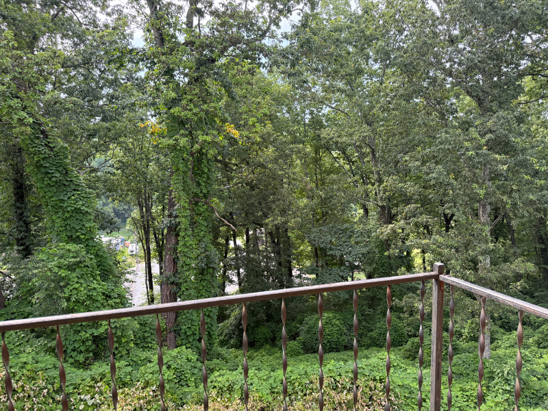 145 Hendricks Blvd - Photo 7 of 12