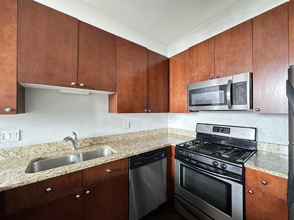 1464 S Michigan Ave #1507 - Photo 4 of 21