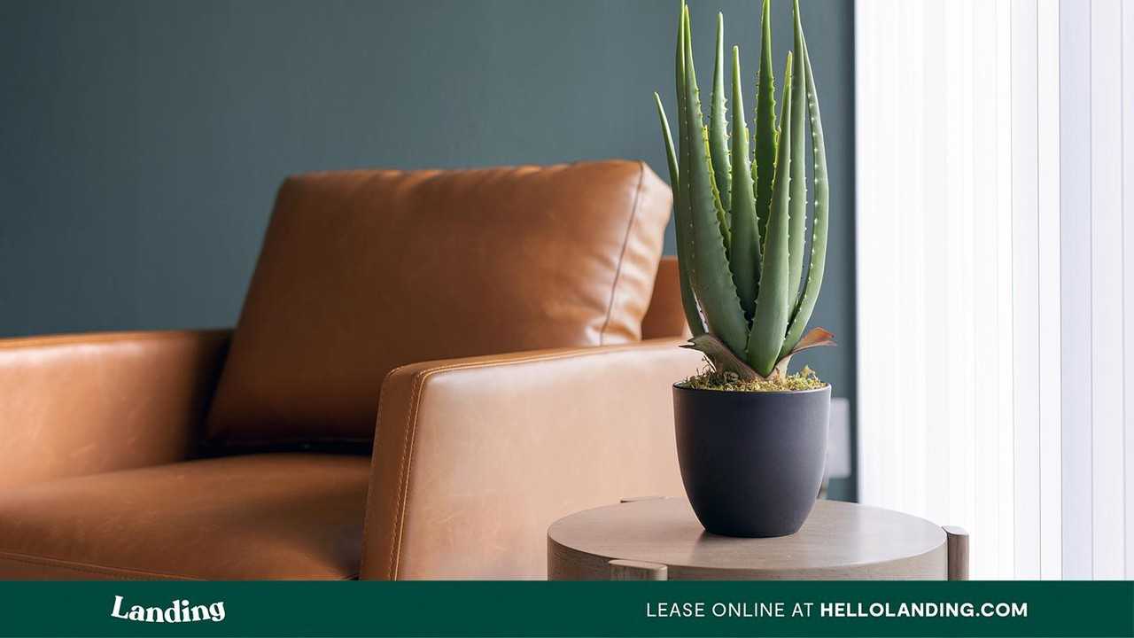 2801 Biltmore Park Dr - Photo 6 of 50