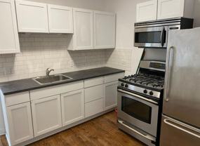 411 N Hamlin Ave #1 - Photo 1 of 1