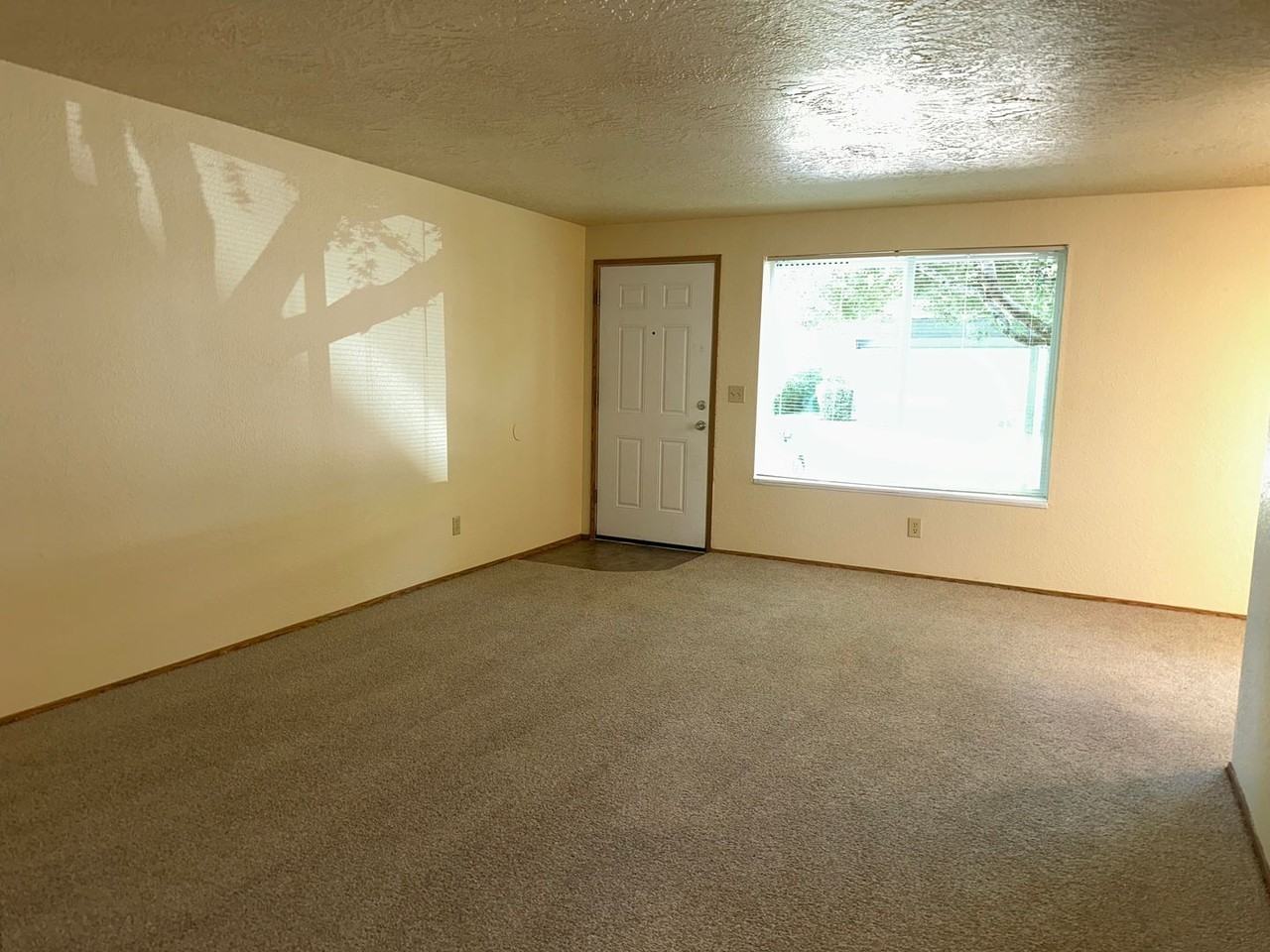 Woodbrook Apartments - Photo 7 of 23