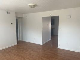 featured image of 275 Shelby Ave