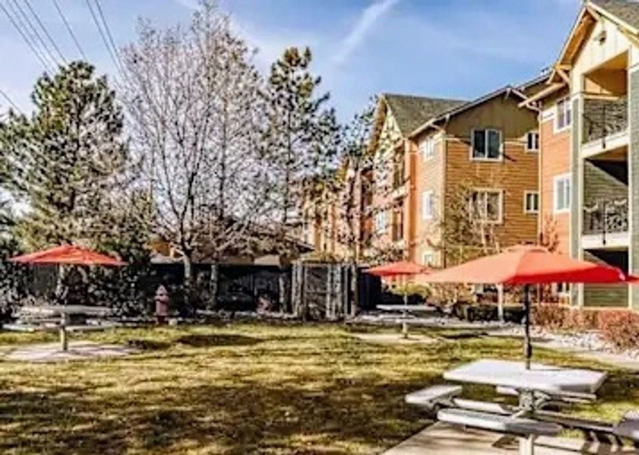 1450 Idlewild Dr - Photo 4 of 7