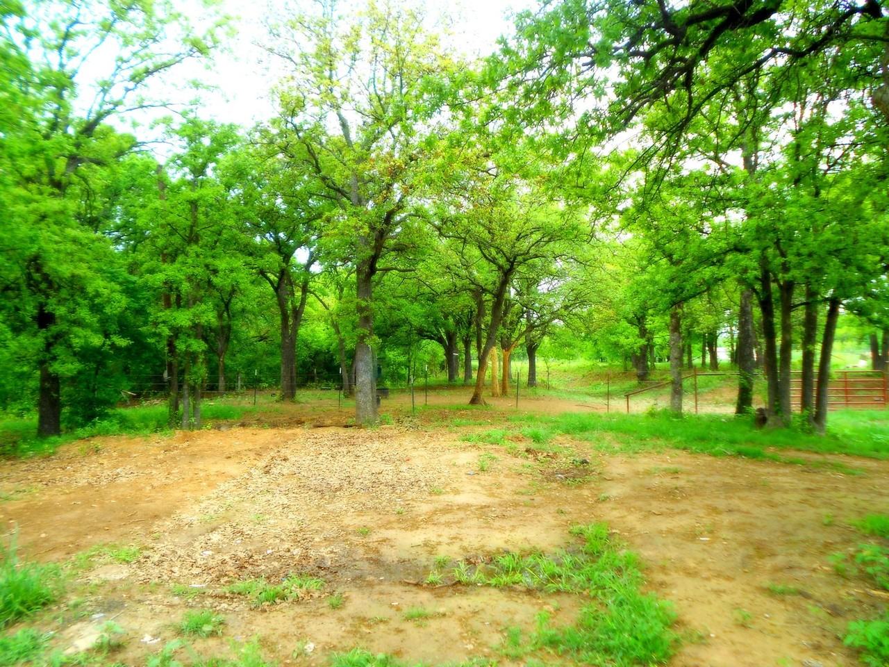 1700 County Road 461 - Photo 3 of 8