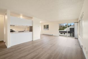 Classic Apartments in Magnolia close to The Locks - Photo 1 of 1