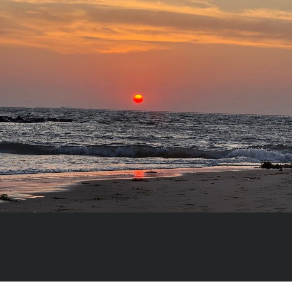 1357 East Ocean View Ave - Photo 3 of 5