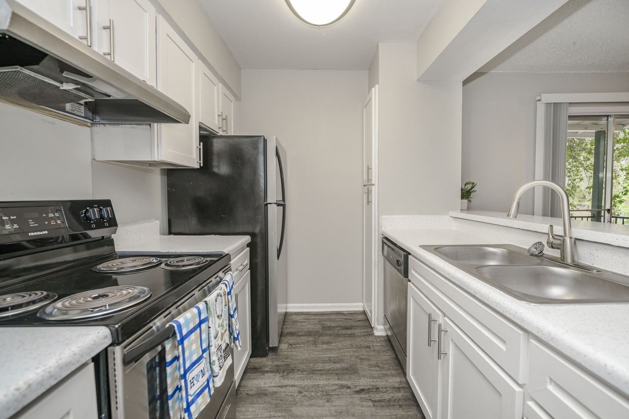 Blue Vine - Photo 2 of 12