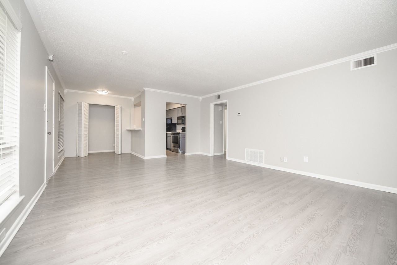 Blue Vine - Photo 3 of 12