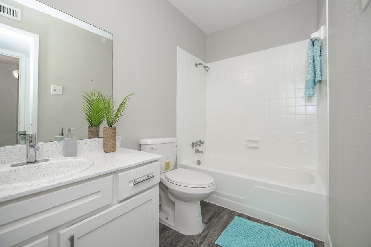 Blue Vine - Photo 4 of 12