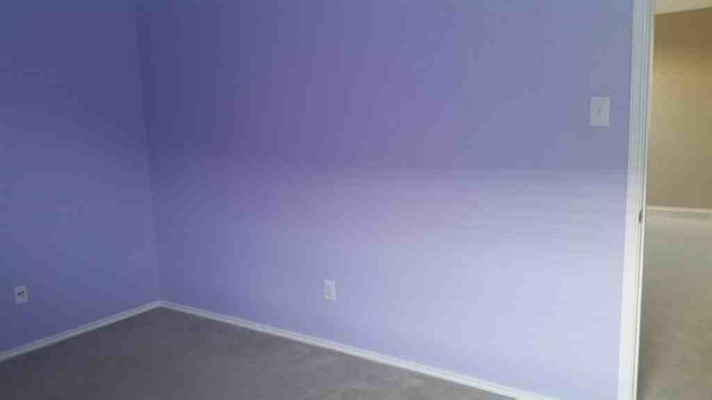 10109 Coolidge Drive - Photo 5 of 6