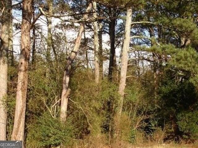 260 Handley Ct Apt B - Photo 6 of 30