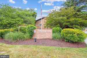 featured image of 1018 Adams Ave #1