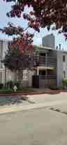 427 W Laurel Dr #L - Photo 1 of 1