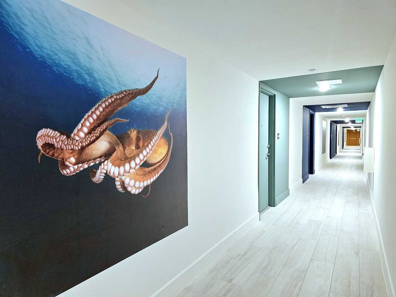 Pixl - Photo 5 of 52