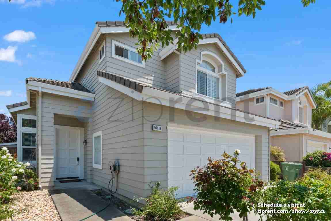 36816 Papaya St - Photo 3 of 32