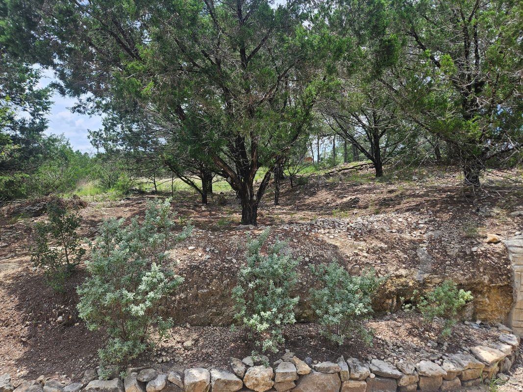 5911 Lago Vista Way ##D - Photo 3 of 12