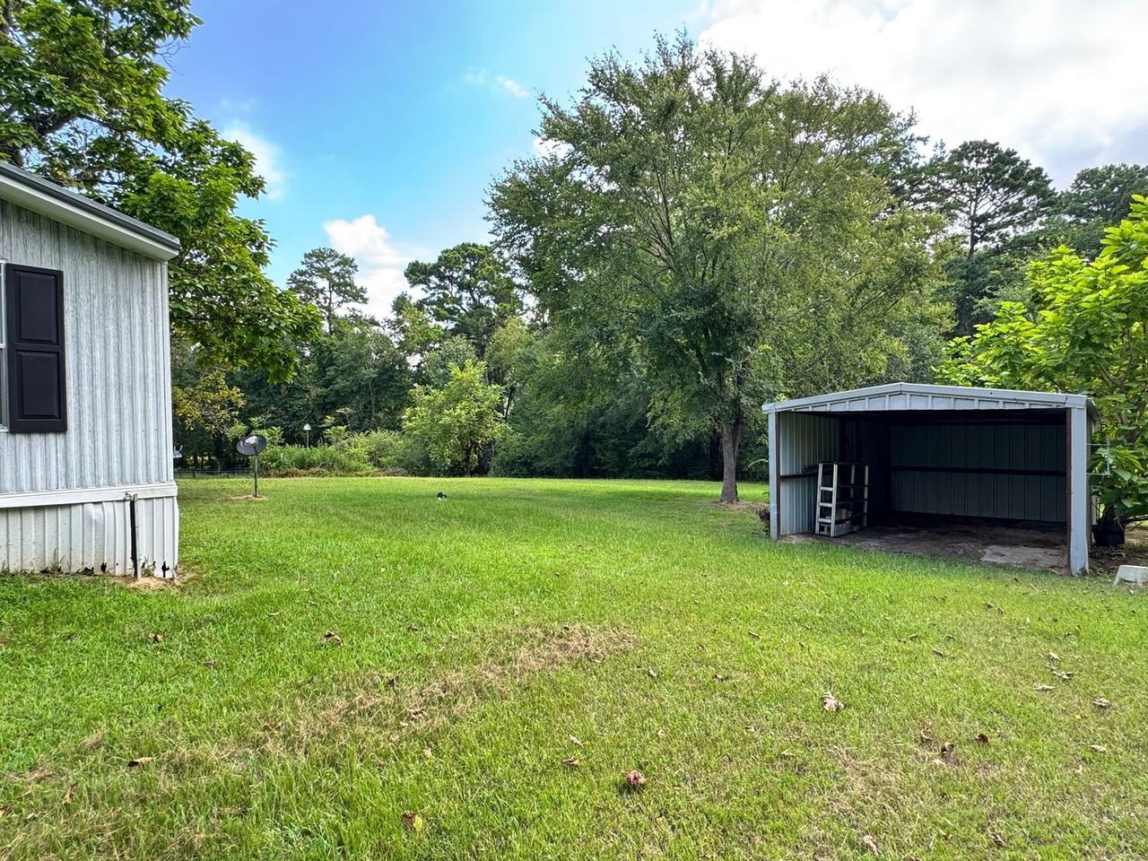 12169 County Road 289 - Photo 4 of 20