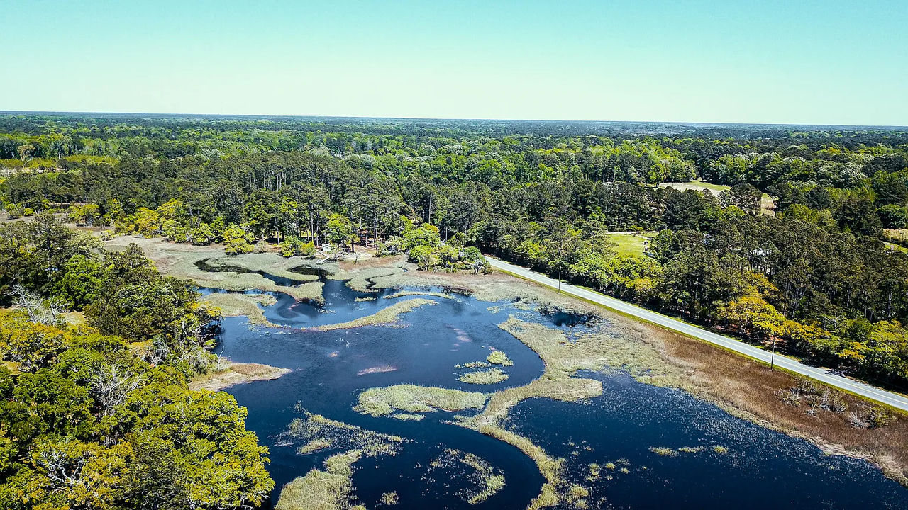 7262 Toogoodoo Rd #NA - Photo 2 of 34