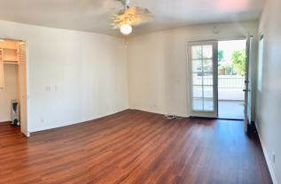 115A - Photo 1 of 1