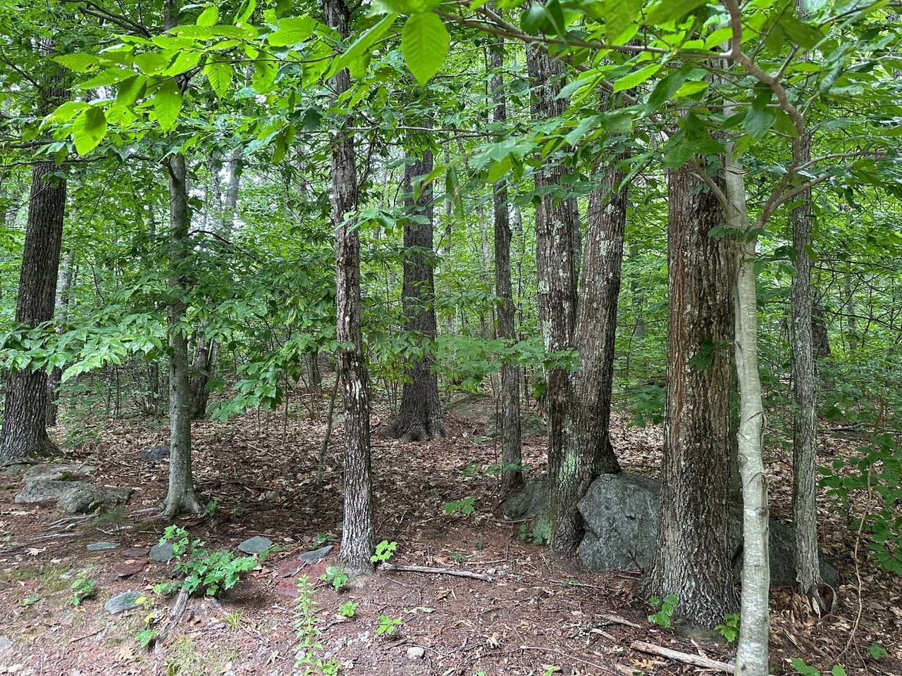 72 Joe Berry Rd - Photo 2 of 13