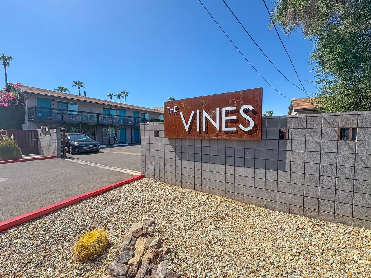 The Vines - Photo 2 of 34