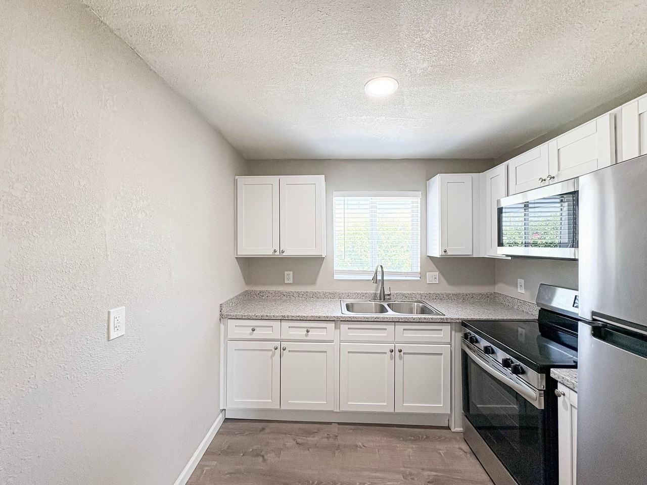 The Vines - Photo 5 of 34