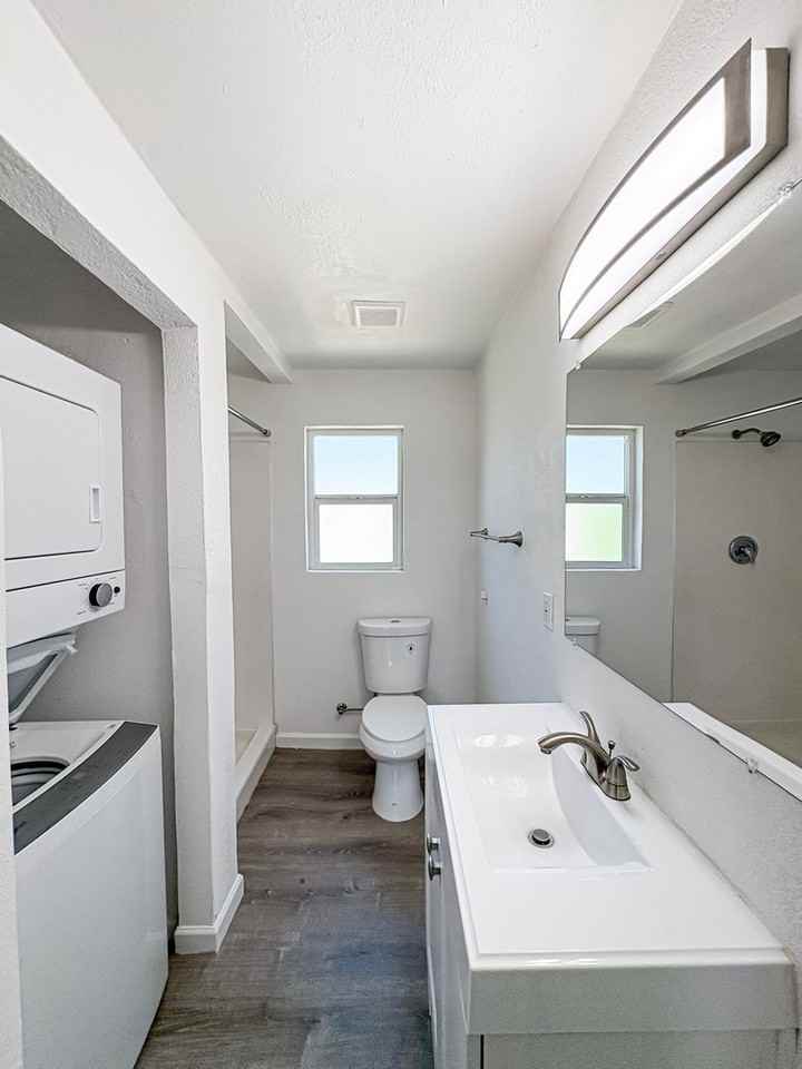 The Vines - Photo 7 of 34