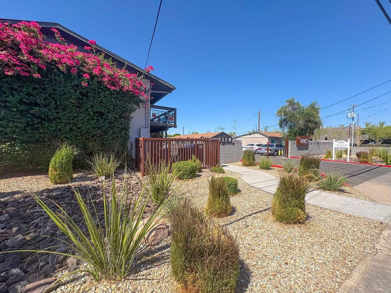 The Vines - Photo 7 of 50