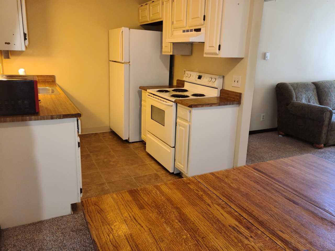 998 Liftview Condominiums E #1 - Photo 3 of 28