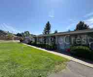 1037PUFF - Photo 1 of 1