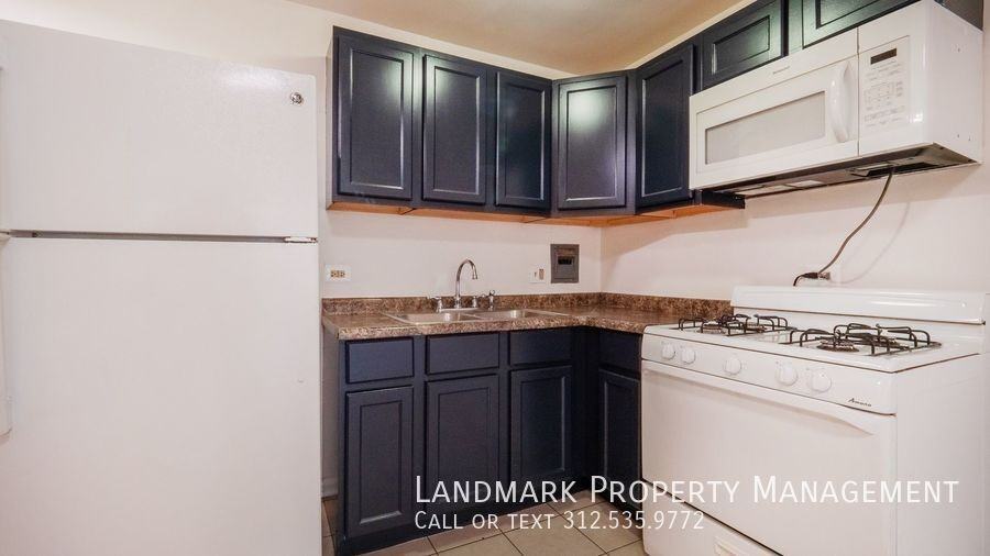 2401 W Balmoral Ave #2D - Photo 7 of 24