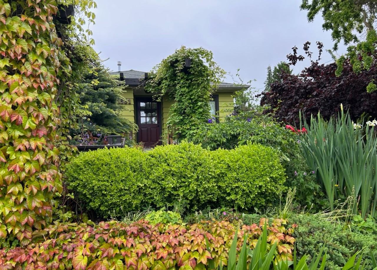 1531 Wetmore Ave - Photo 2 of 35