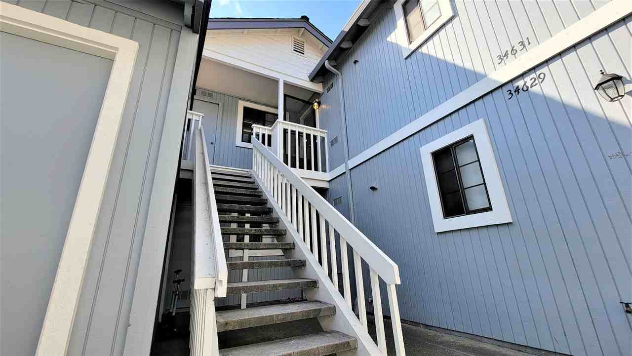 34631 Musk Terrace - Photo 4 of 18