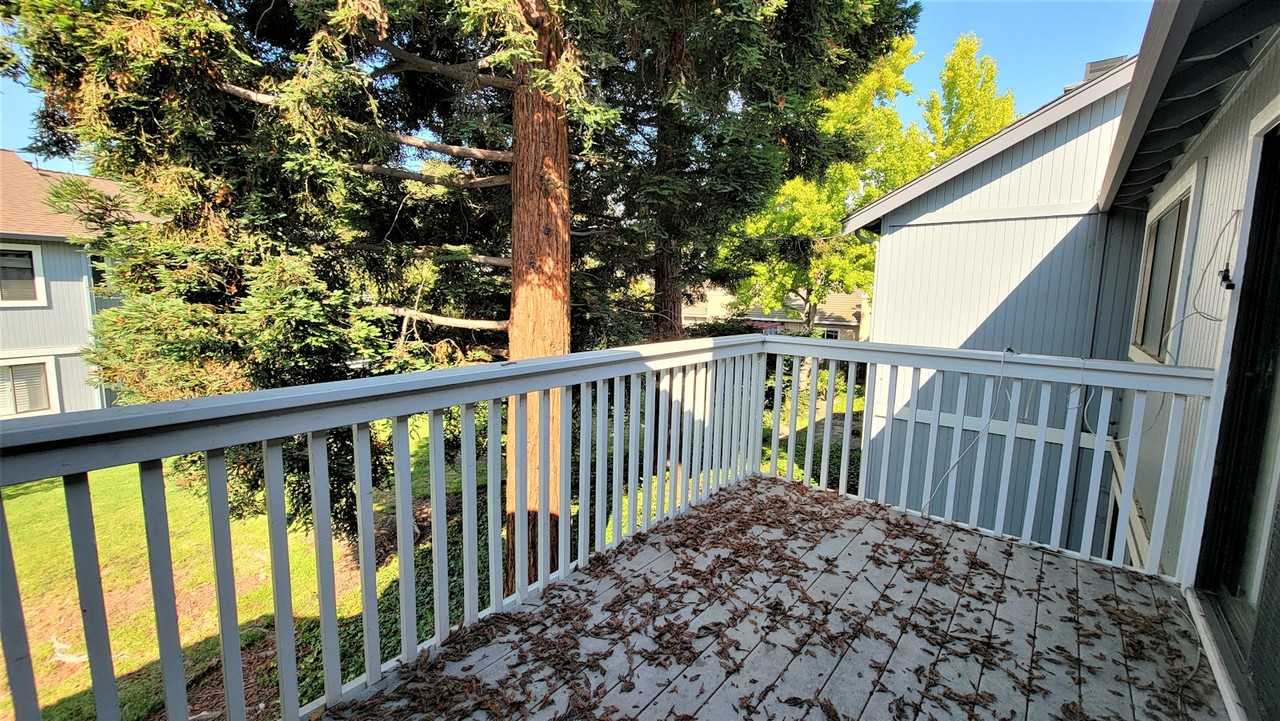 34631 Musk Terrace - Photo 7 of 18