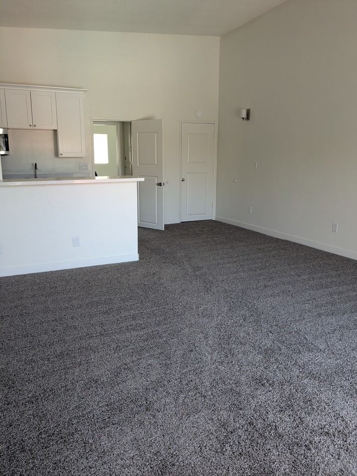 la casa verde - Photo 2 of 5